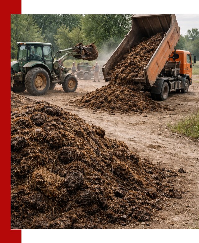 Доставка навоза самосвалами в Мелеузе для сельхозпотребностей